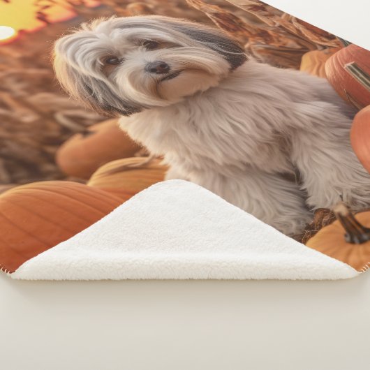 Herbst Havanese Sherpadecke (3/4)