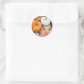 Herbst Heirloom Pumpkin und Gourd Herbstmalerei Runder Aufkleber (Tasche)