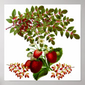 Herbst & Herbst Berry Foliage Poster (Vorne)