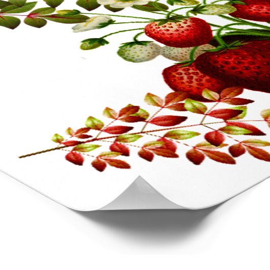 Herbst & Herbst Berry Foliage Poster (Ecke)