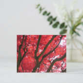 Herbst, Herbst, Blätter Postkarte (Stehend Vorderseite)