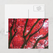 Herbst, Herbst, Blätter Postkarte (Vorne/Hinten)