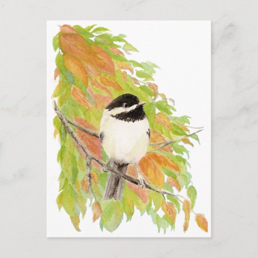 Herbst, Herbst, Chickadee, Vogelwelt Postkarte (Vorderseite)