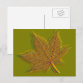 Herbst Herbst Leaf #2 Postkarte (Vorne/Hinten)
