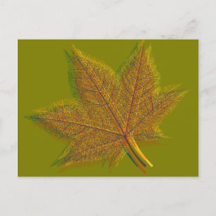 Herbst Herbst Leaf #2 Postkarte