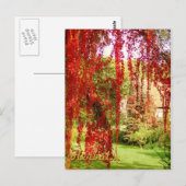 Herbst / Herbst Postkarte (Vorne/Hinten)