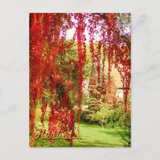 Herbst / Herbst Postkarte (Vorderseite)