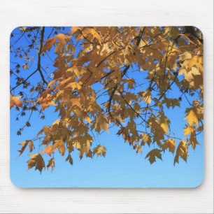 Herbst, Herbstblätter, Bäume und blauer Himmel Mousepad