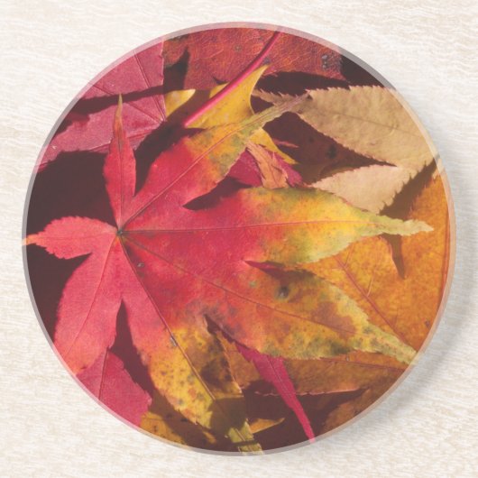 Herbst Herbstlaub Orange und Golden Getränkeuntersetzer (Vorne)