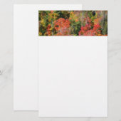 Herbst Hillside farbenfrohe Herbstfotografie Briefpapier (Vorne/Hinten)