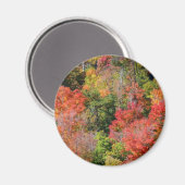 Herbst Hillside farbenfrohe Herbstfotografie Magnet (Vorderseite/Rückseite)