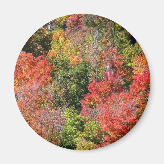 Herbst Hillside farbenfrohe Herbstfotografie Magnet (Vorne)