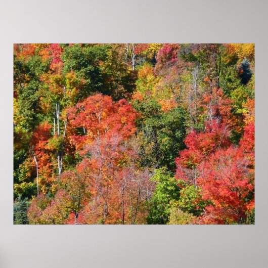 Herbst Hillside farbenfrohe Herbstfotografie Poster (Vorne)