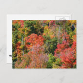 Herbst Hillside farbenfrohe Herbstfotografie Postkarte (Vorne/Hinten)