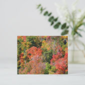 Herbst Hillside farbenfrohe Herbstfotografie Postkarte (Stehend Vorderseite)