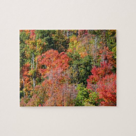 Herbst Hillside farbenfrohe Herbstfotografie Puzzle (Horizontal)