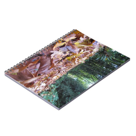 "Herbst-Hinter" Foto-Notizbuch (80 Seiten B&W) Notizblock (Linke Seite)