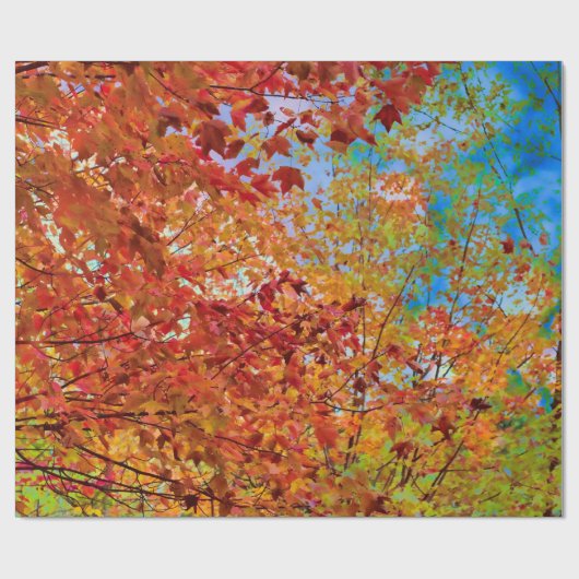 Herbst hinterlässt farbige Orange Fall Themed Blue Geschenkpapier (Flach)