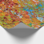 Herbst hinterlässt farbige Orange Fall Themed Blue Geschenkpapier (Ecke)