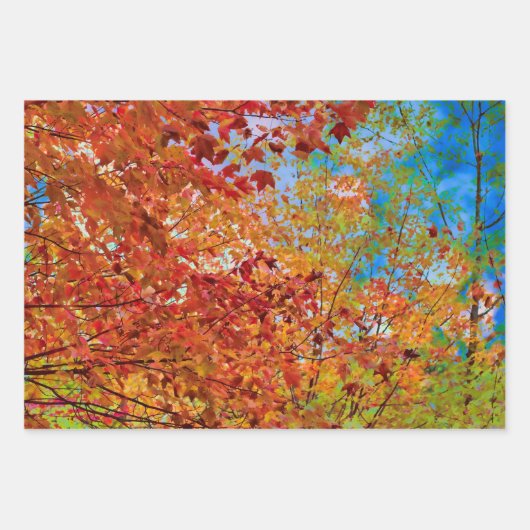 Herbst hinterlässt farbige Orange Fall Themed Blue Geschenkpapier Set (Vorderseite 2)