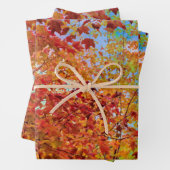 Herbst hinterlässt farbige Orange Fall Themed Blue Geschenkpapier Set (Beispiel)