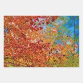Herbst hinterlässt farbige Orange Fall Themed Blue Geschenkpapier Set (Vorderseite)