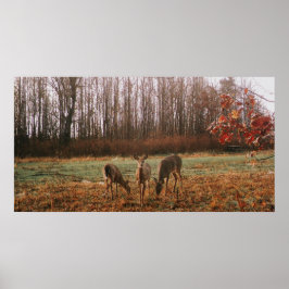 Herbst Hirsch Poster