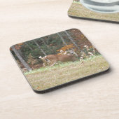 Herbst Hirsche im Arrowhad GA Getränkeuntersetzer (Linke Seite)