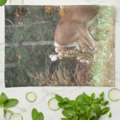 Herbst Hirsche im Arrowhad GA Handtuch (Gefaltet)