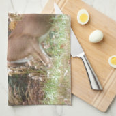 Herbst Hirsche im Arrowhad GA Handtuch (Viertel Falte)