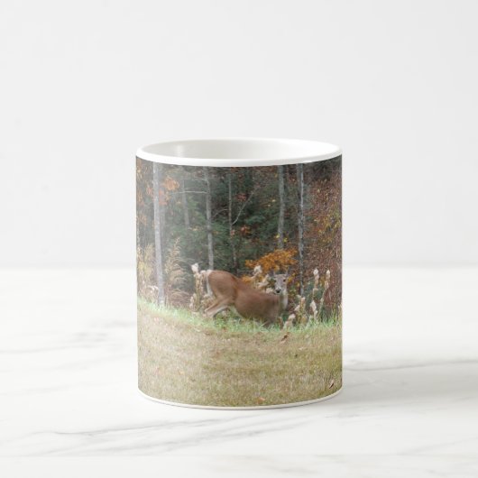 Herbst Hirsche im Arrowhad GA Kaffeetasse (Mittel)