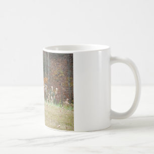 Herbst Hirsche im Arrowhad GA Kaffeetasse