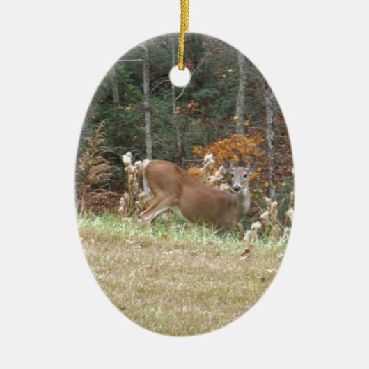 Herbst Hirsche im Arrowhad GA Keramikornament (Vorne)