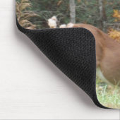 Herbst Hirsche im Arrowhad GA Mousepad (Ecke)