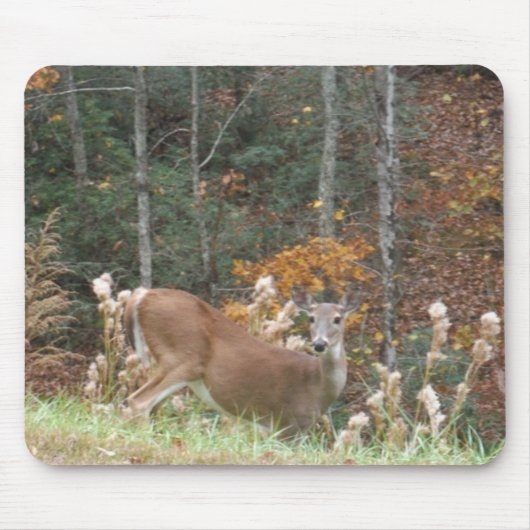 Herbst Hirsche im Arrowhad GA Mousepad (Vorne)