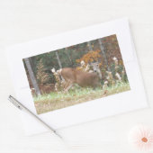 Herbst Hirsche im Arrowhad GA Rechteckiger Aufkleber (Umschlag)
