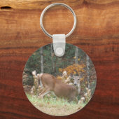 Herbst Hirsche im Arrowhad GA Schlüsselanhänger (Vorderseite)