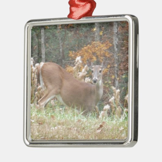 Herbst Hirsche im Arrowhad GA Silbernes Ornament (Links)