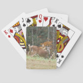 Herbst Hirsche im Arrowhad GA Spielkarten (Rückseite)
