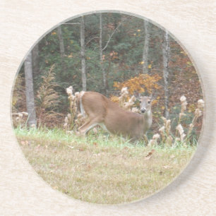 Herbst Hirsche im Arrowhad GA Untersetzer