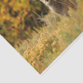 Herbst-Hirsche Seidenpapier (Ausschnitt)