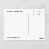 Herbst Honeysuckle ~ Postkarte (Rückseite)