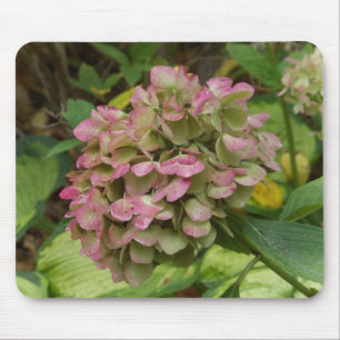 Herbst-Hortensienblüte mit goldenen Hosta-Blättern Mousepad
