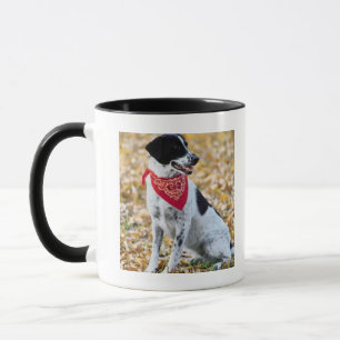 Herbst-Hund Tasse