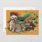 Herbst - Hunde Lieben Mehr - Shihpoo - Maggie Postkarte (Vorne/Hinten)