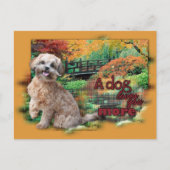Herbst - Hunde Lieben Mehr - Shihpoo - Maggie Postkarte (Vorderseite)