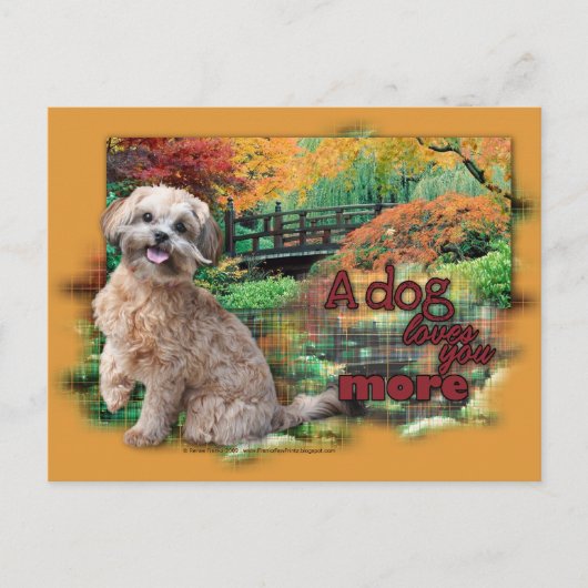 Herbst - Hunde Lieben Mehr - Shihpoo - Maggie Postkarte (Vorderseite)