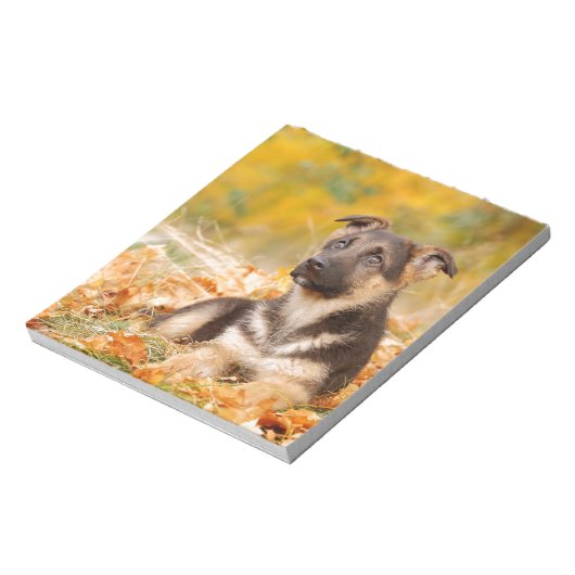 Herbst Hundewelpe Notizblock (Rotiert)