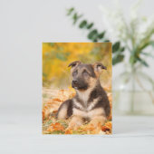 Herbst Hundewelpe Postkarte (Stehend Vorderseite)