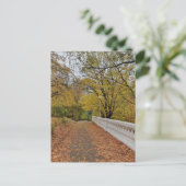 Herbst im alten Park. Postkarte (Stehend Vorderseite)